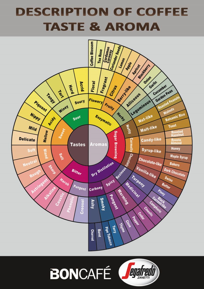 Coffee Tips How To Describe A Cup Of Coffee The Cafematic Store